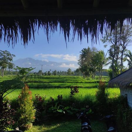 New Rinjani Homestay Tetebatu Eksteriør billede