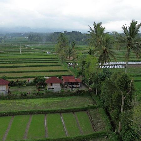 New Rinjani Homestay Tetebatu Eksteriør billede