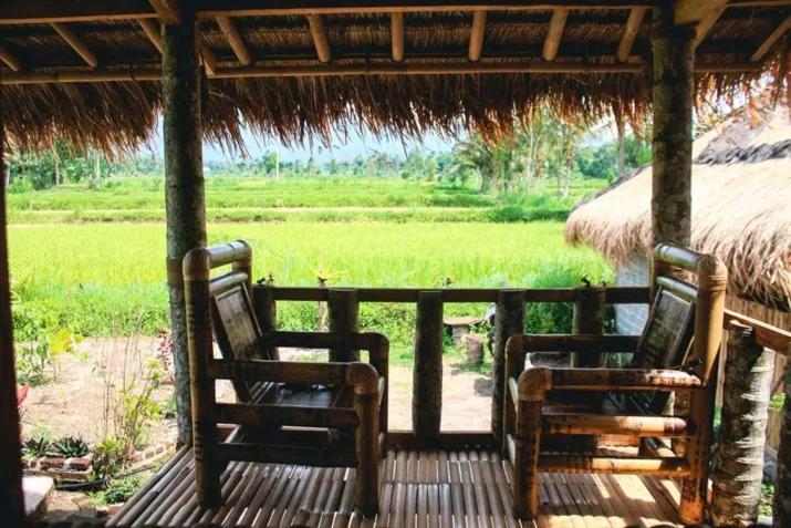 New Rinjani Homestay Tetebatu Eksteriør billede