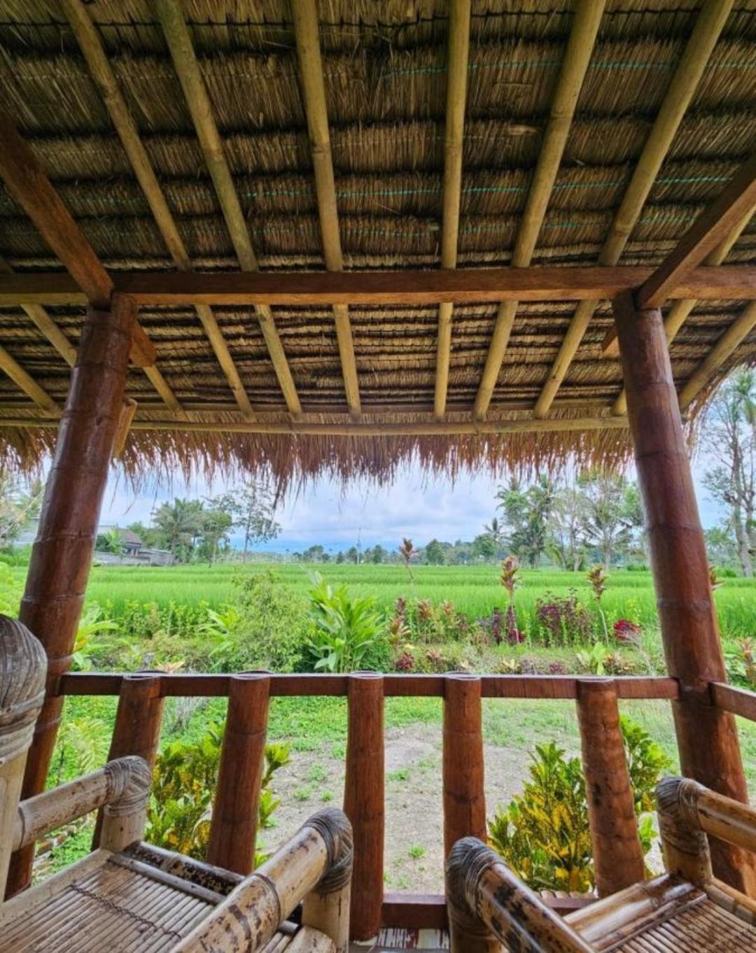 New Rinjani Homestay Tetebatu Eksteriør billede