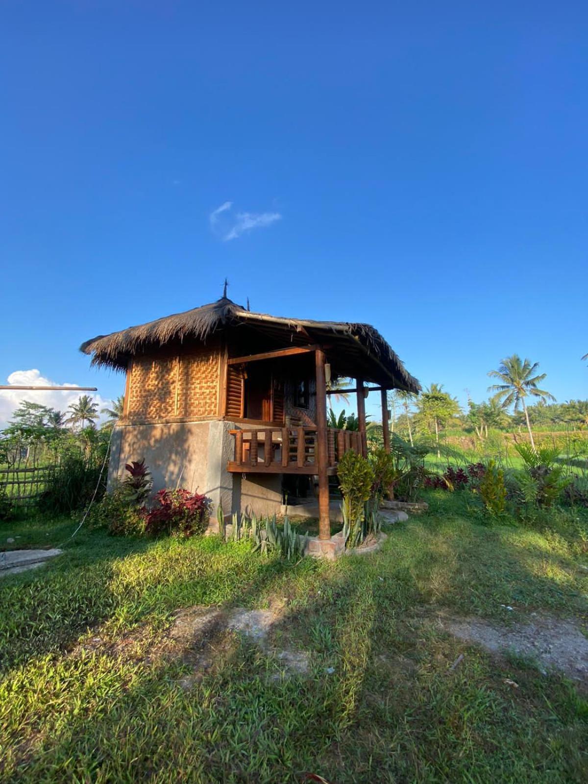 New Rinjani Homestay Tetebatu Eksteriør billede