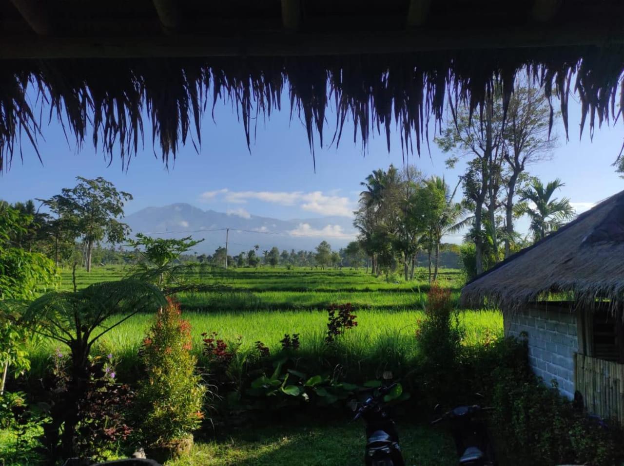 New Rinjani Homestay Tetebatu Eksteriør billede