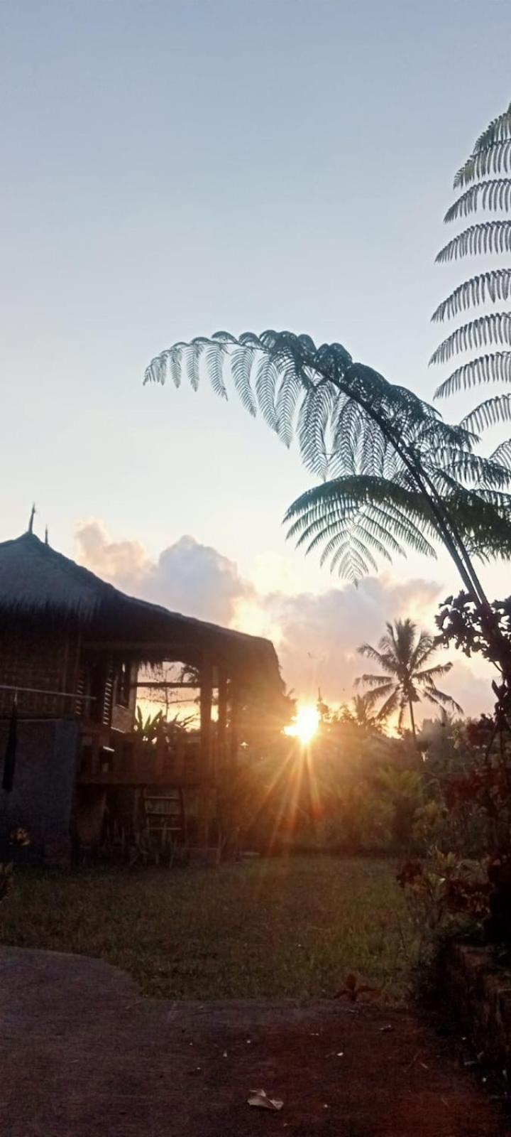 New Rinjani Homestay Tetebatu Værelse billede