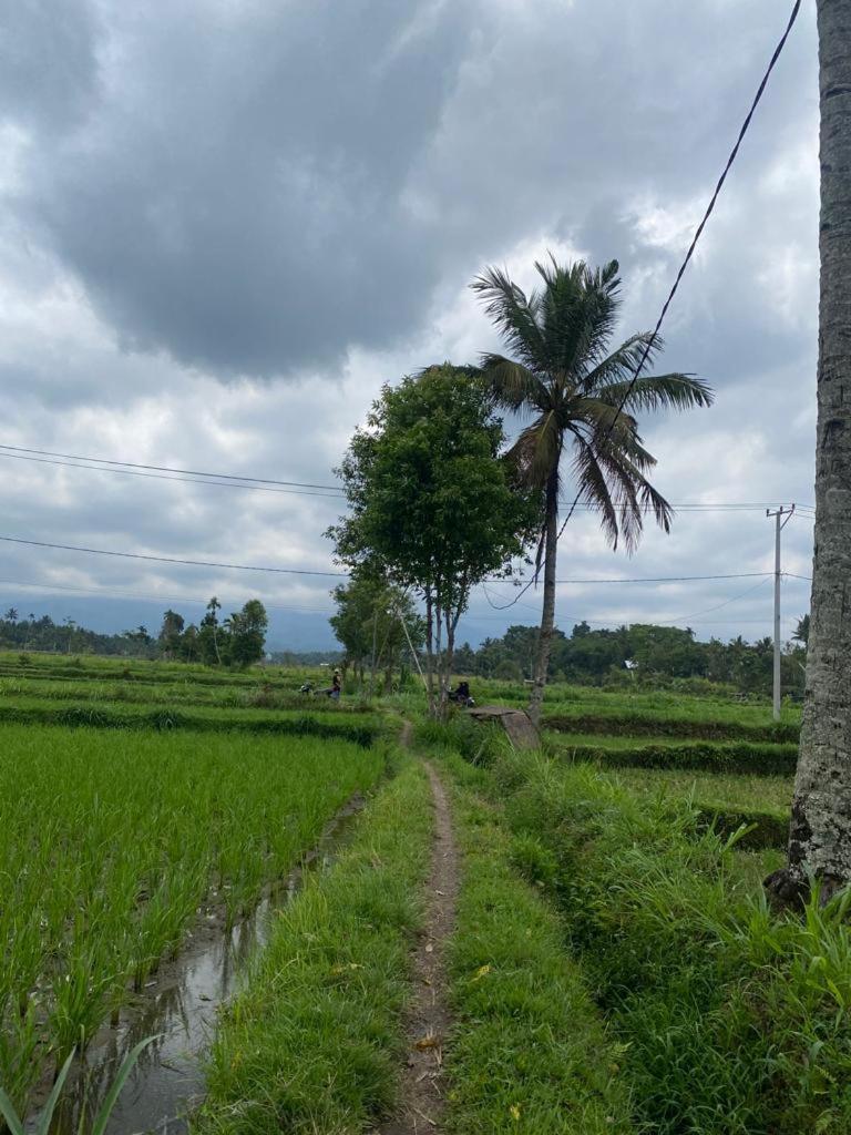 New Rinjani Homestay Tetebatu Værelse billede
