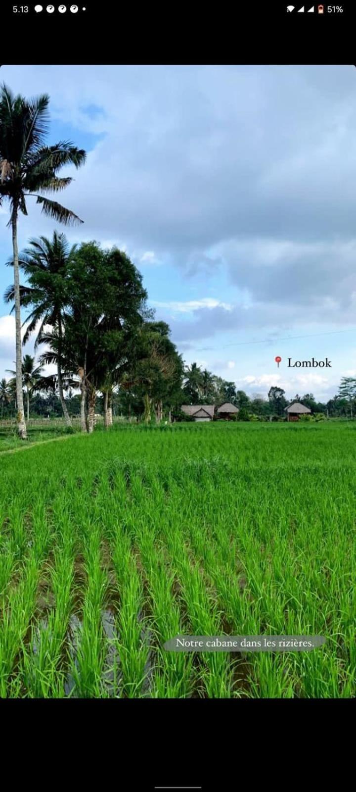 New Rinjani Homestay Tetebatu Værelse billede