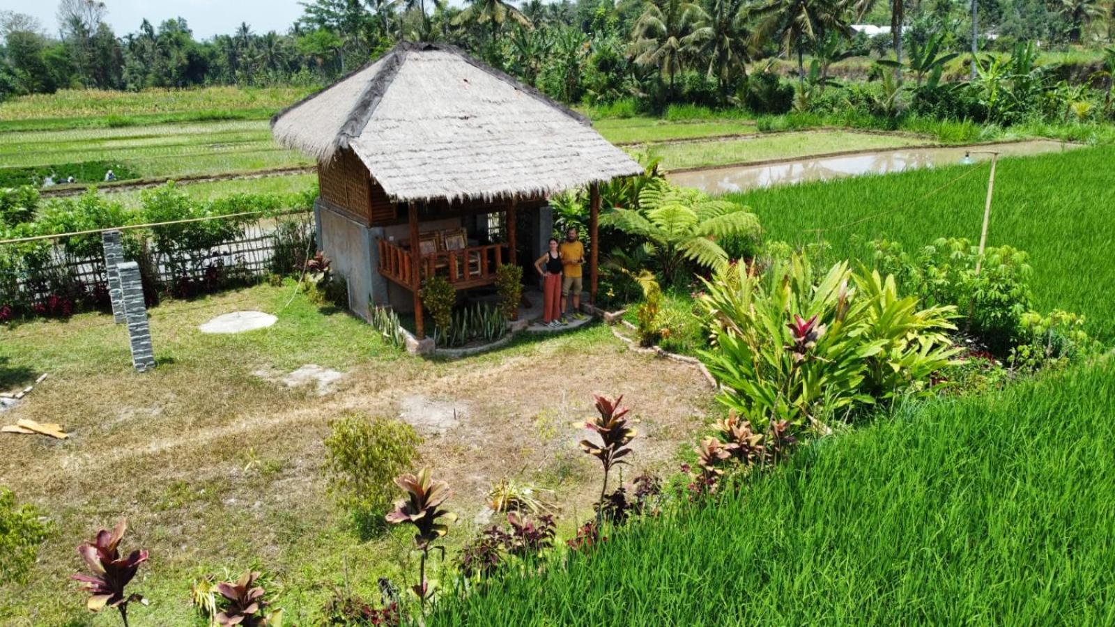 New Rinjani Homestay Tetebatu Værelse billede