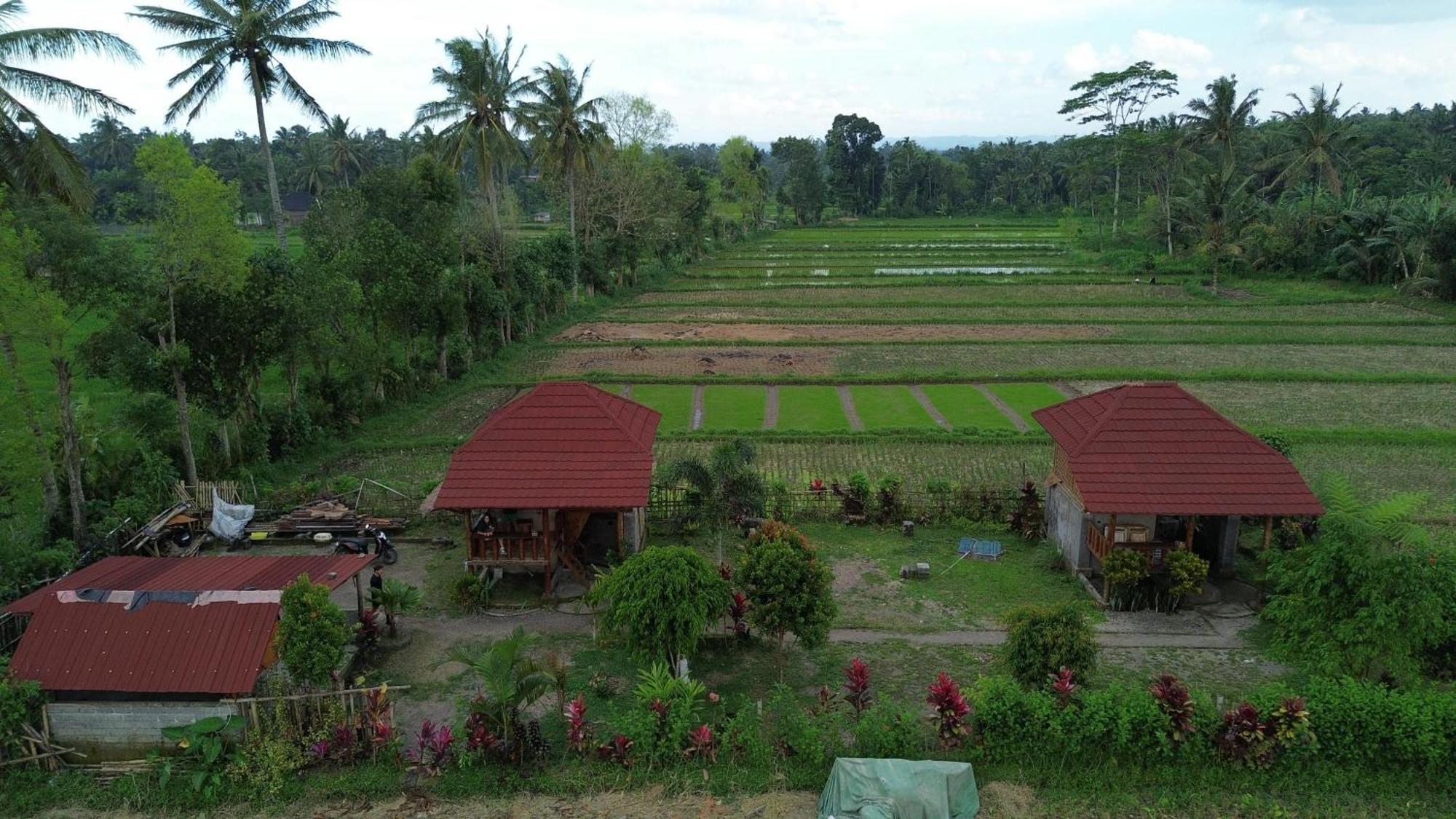 New Rinjani Homestay Tetebatu Eksteriør billede