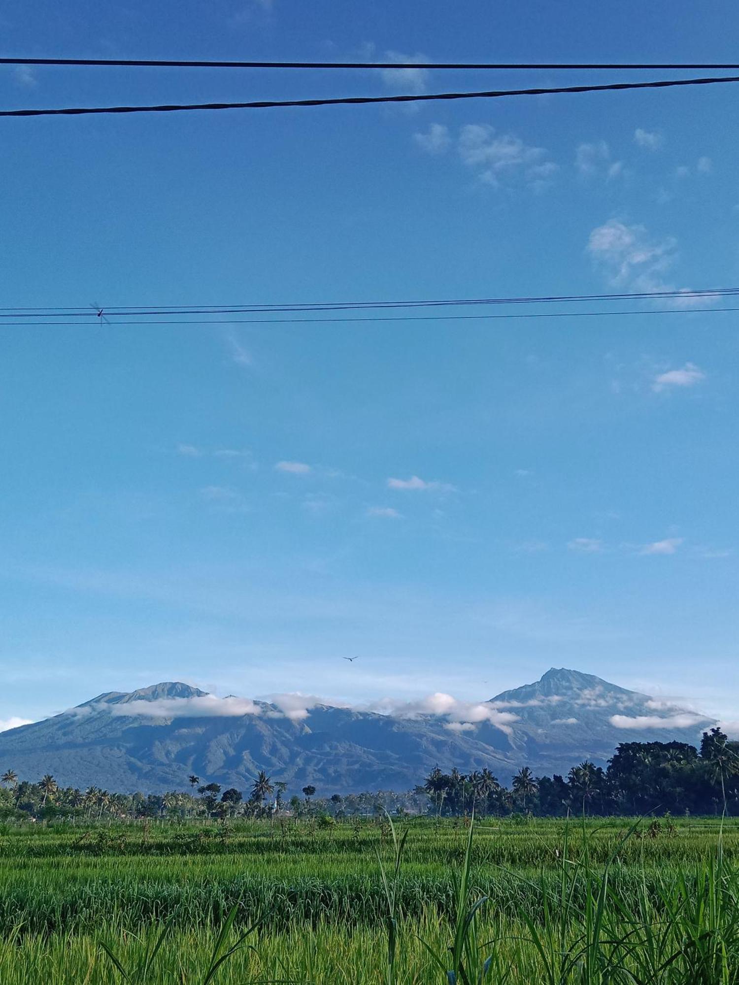 New Rinjani Homestay Tetebatu Eksteriør billede