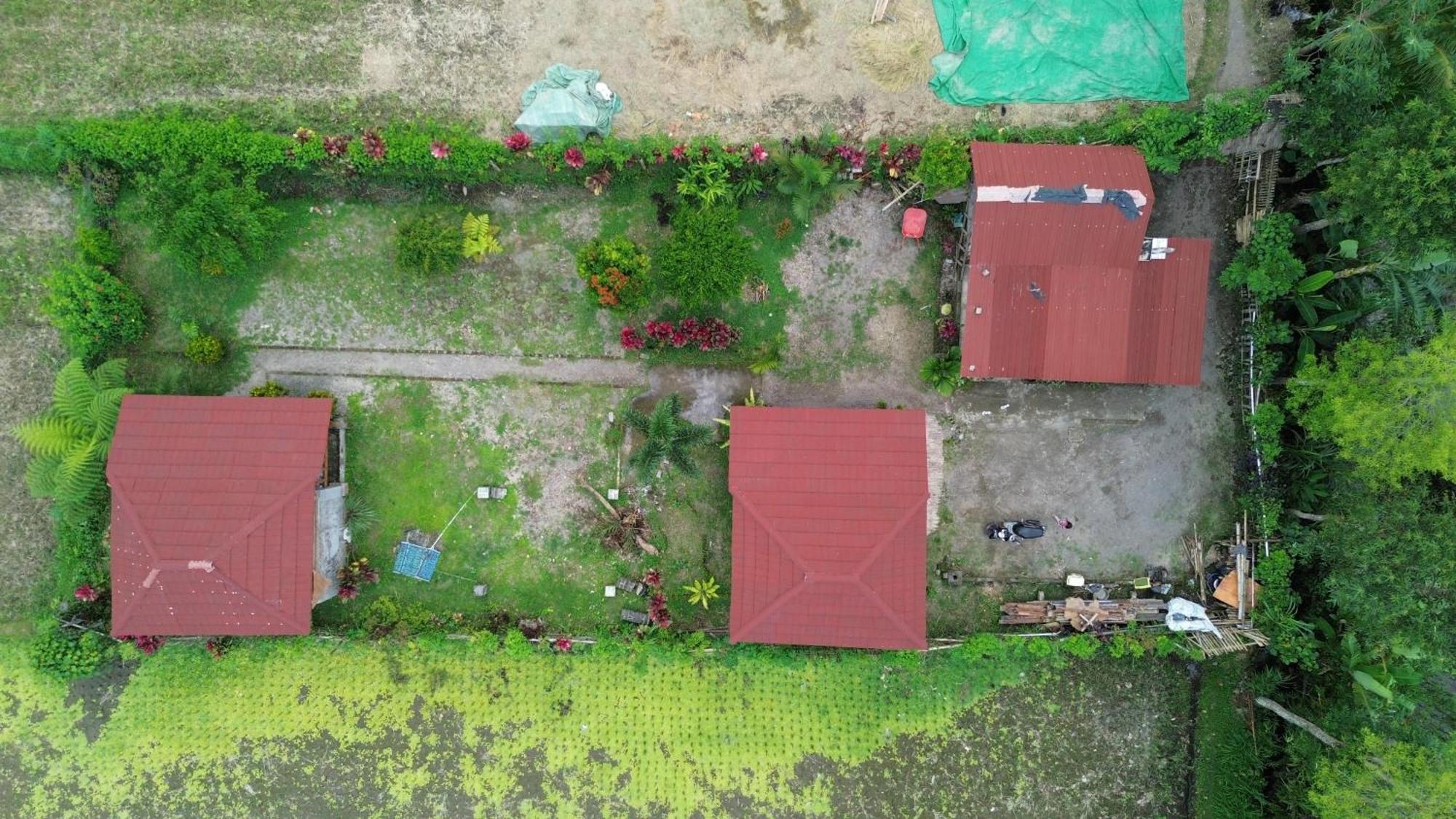New Rinjani Homestay Tetebatu Eksteriør billede